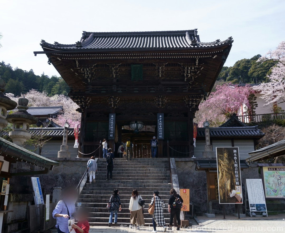 久々！家族3人で奈良県 長谷寺＆東大寺に旅行　修学旅行の定番だけど大人になってからの方が楽しい